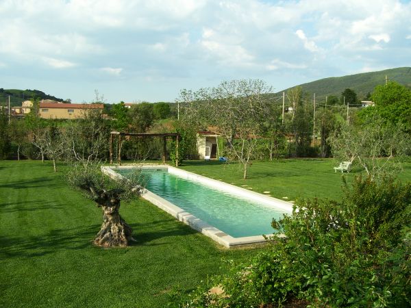 Piscina rettangolare in giardino con alberi e colline.