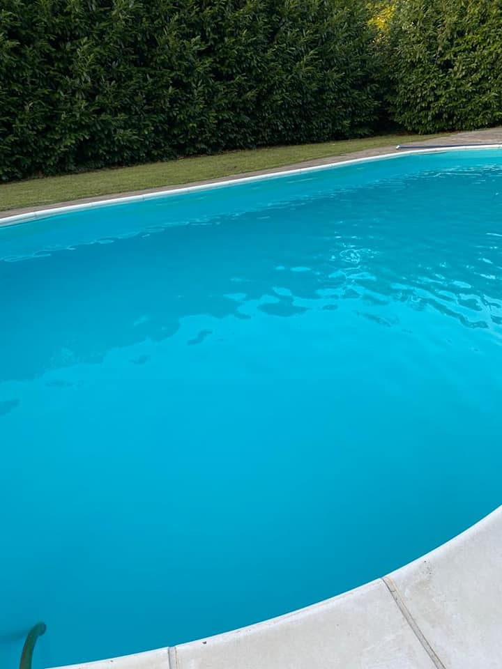 Piscina all'aperto con acqua azzurra e siepi verdi.