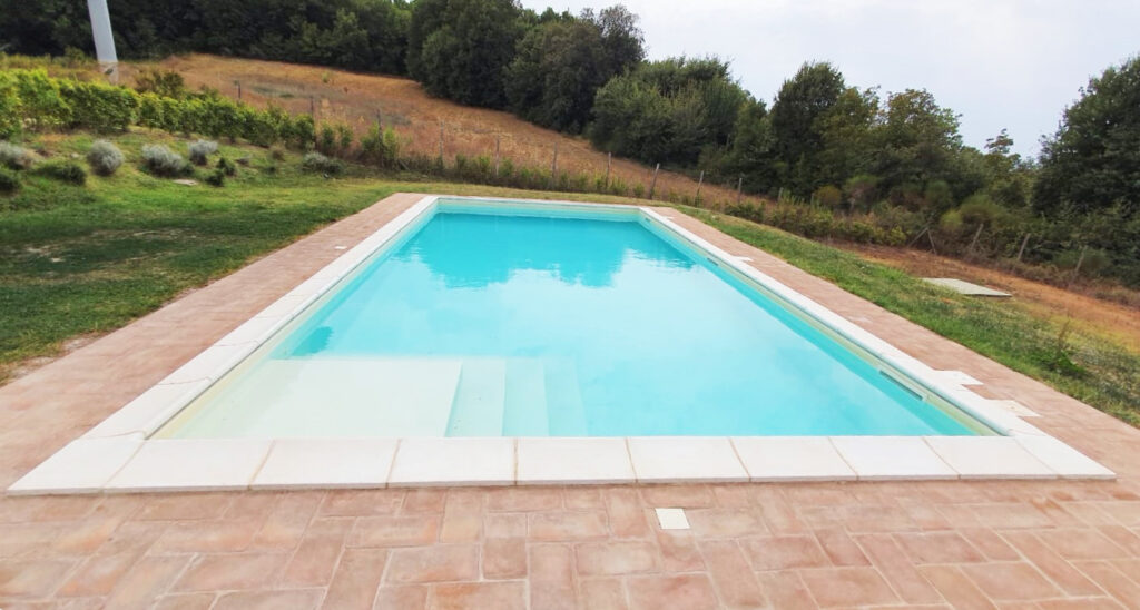 Piscina rettangolare in giardino con prato e alberi.