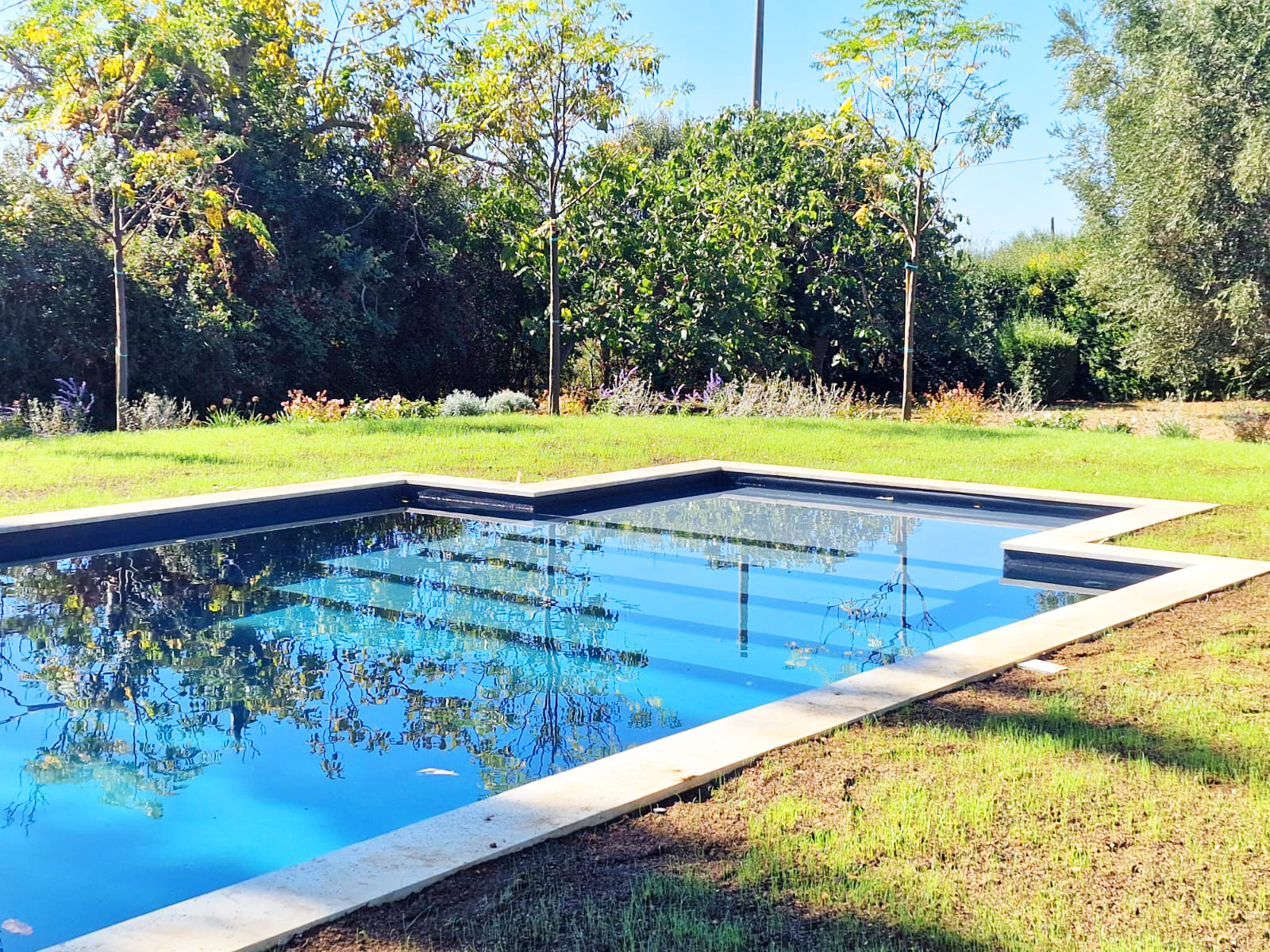 Piscina rettangolare in giardino con alberi sullo sfondo.